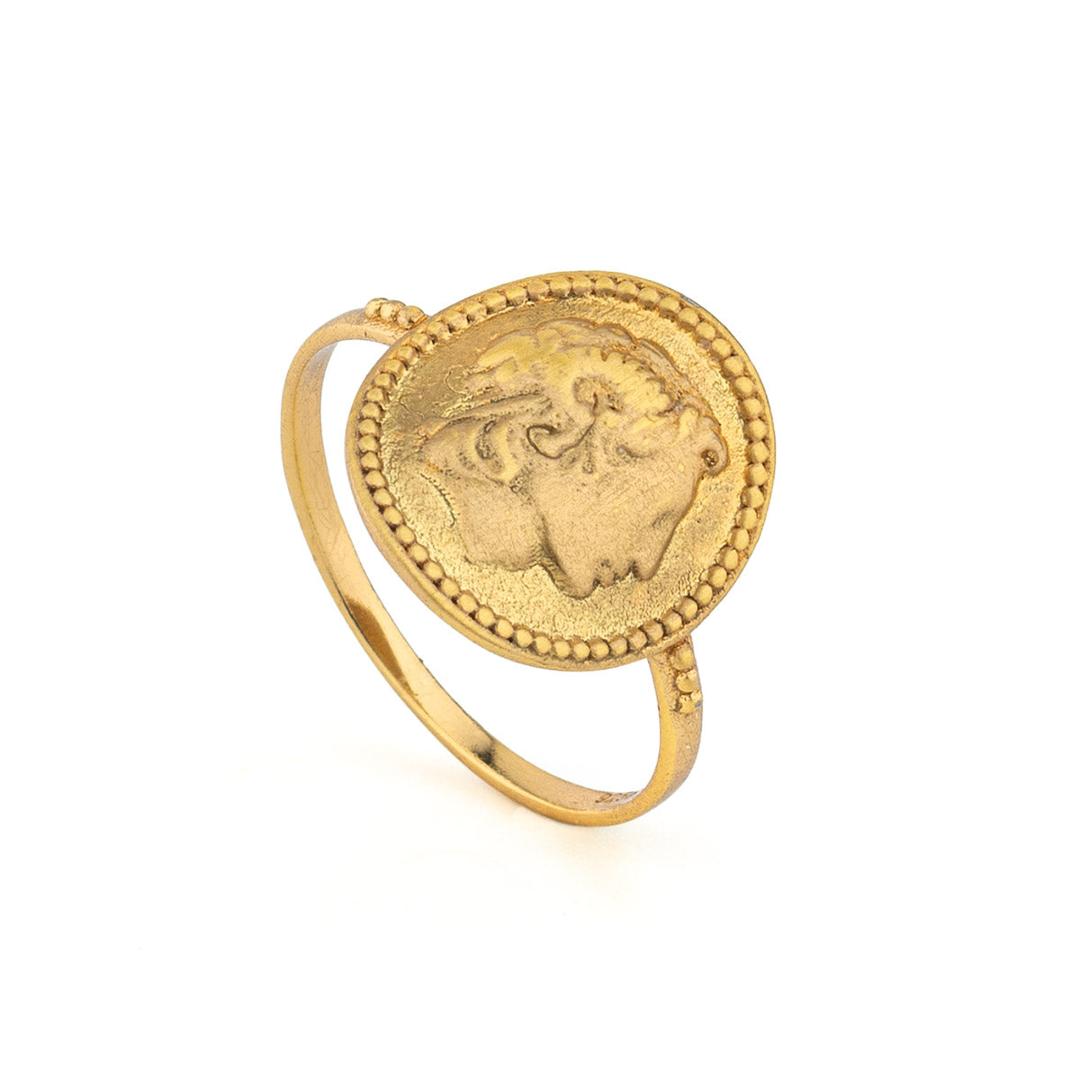 Great Alexander Coin Ring in 925 Sterling Silver and Gold Plated