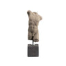 Male Body Statue – Classical Sculpture — Grey