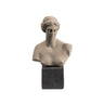 Aphrodite Greek Bust – Mythology Inspired Home Décor — Grey
