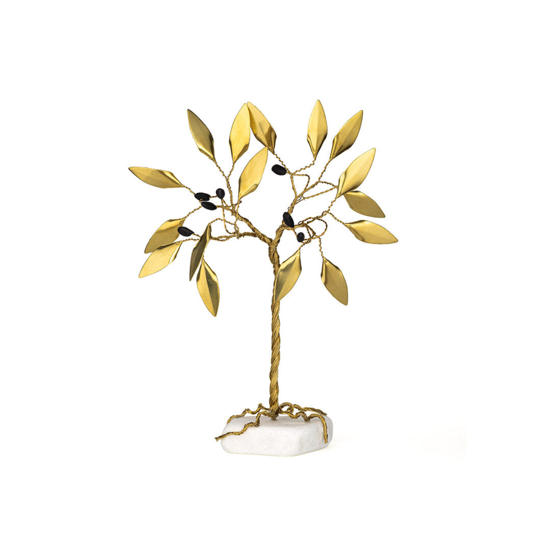 Olive Tree with Roots Stand on Marble Stone