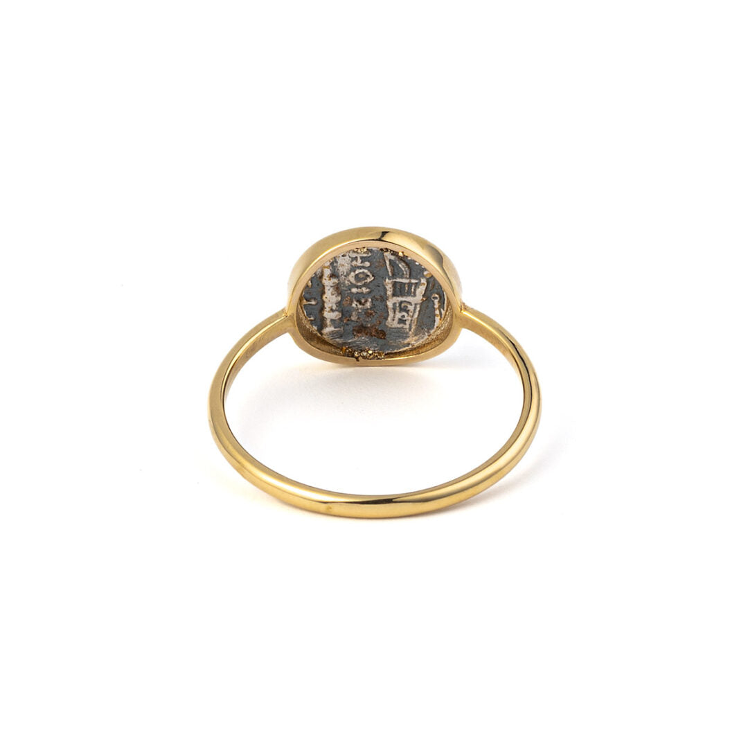 Hercules Ring - 14K Gold and Sterling Silver