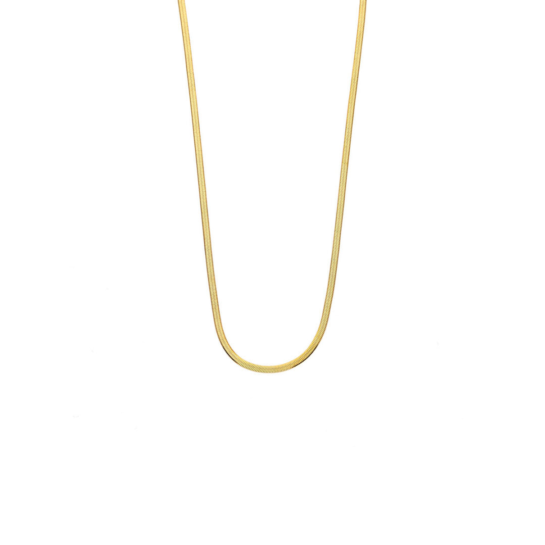 Snake Chain in Stainless Steel and Gold Plated
