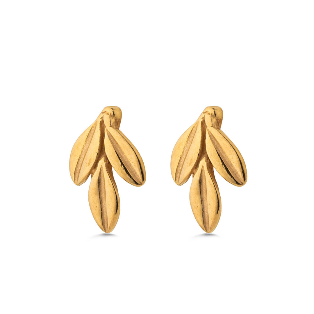 Olive Stud Earrings in 925 Sterling Silver Gold-Plated