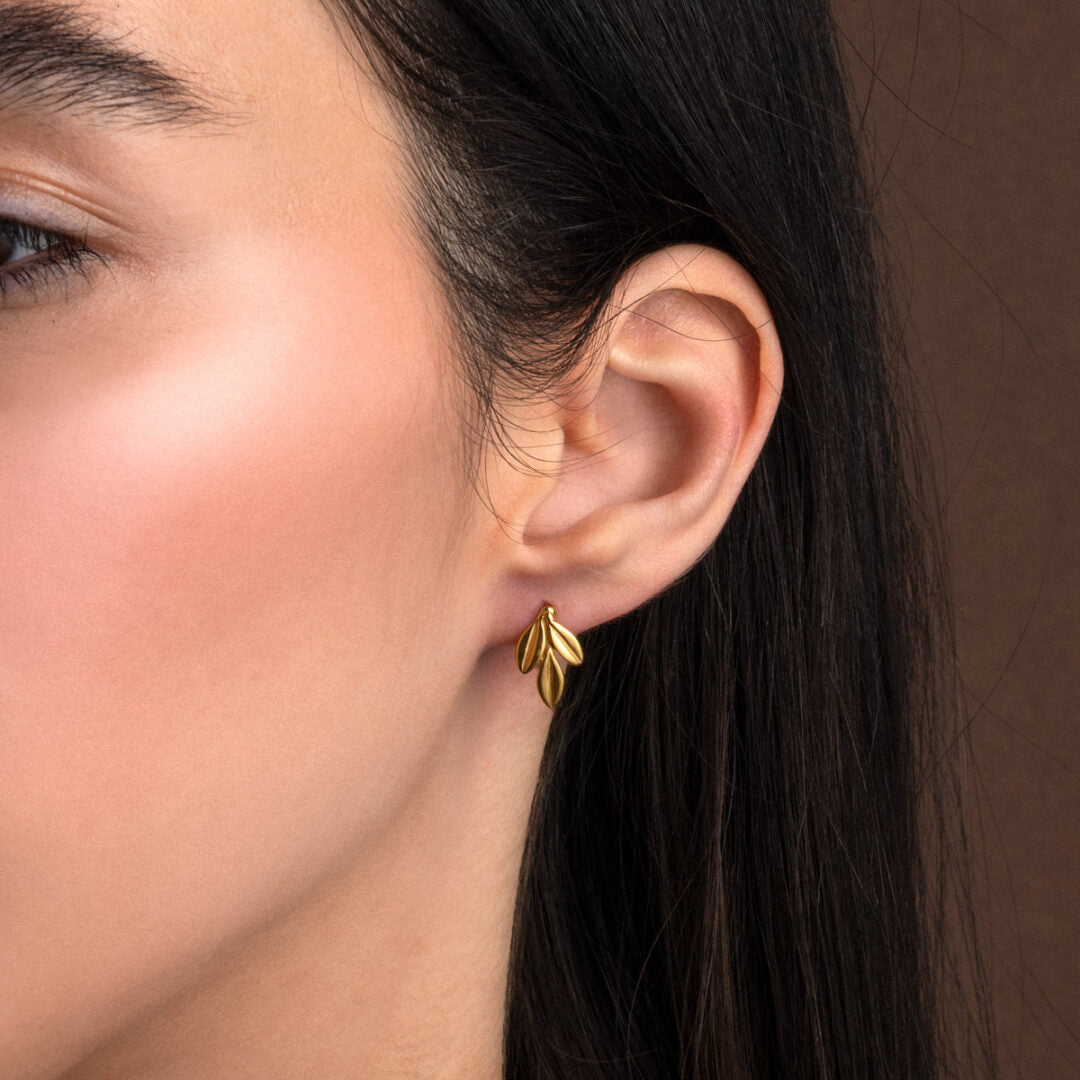 Olive Stud Earrings in 925 Sterling Silver Gold-Plated