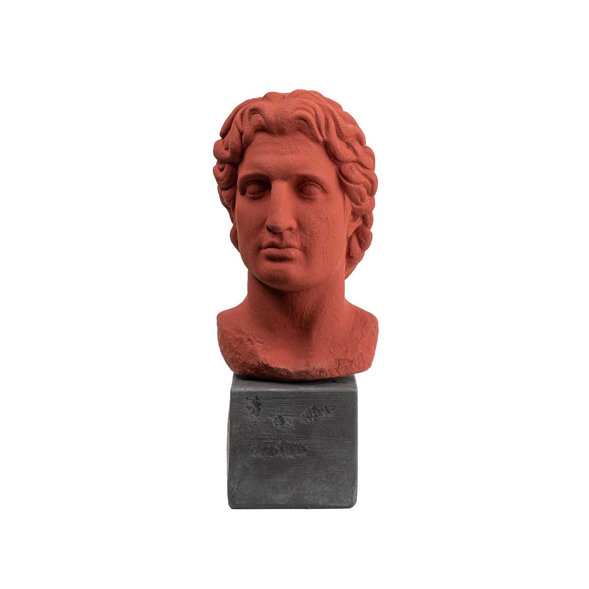 Alexander the Great Statue – Classical Warrior Art Sculpture — Brown