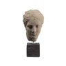 Hygeia Bust Statue – Timeless Greek Mythology Art Piece — Grey
