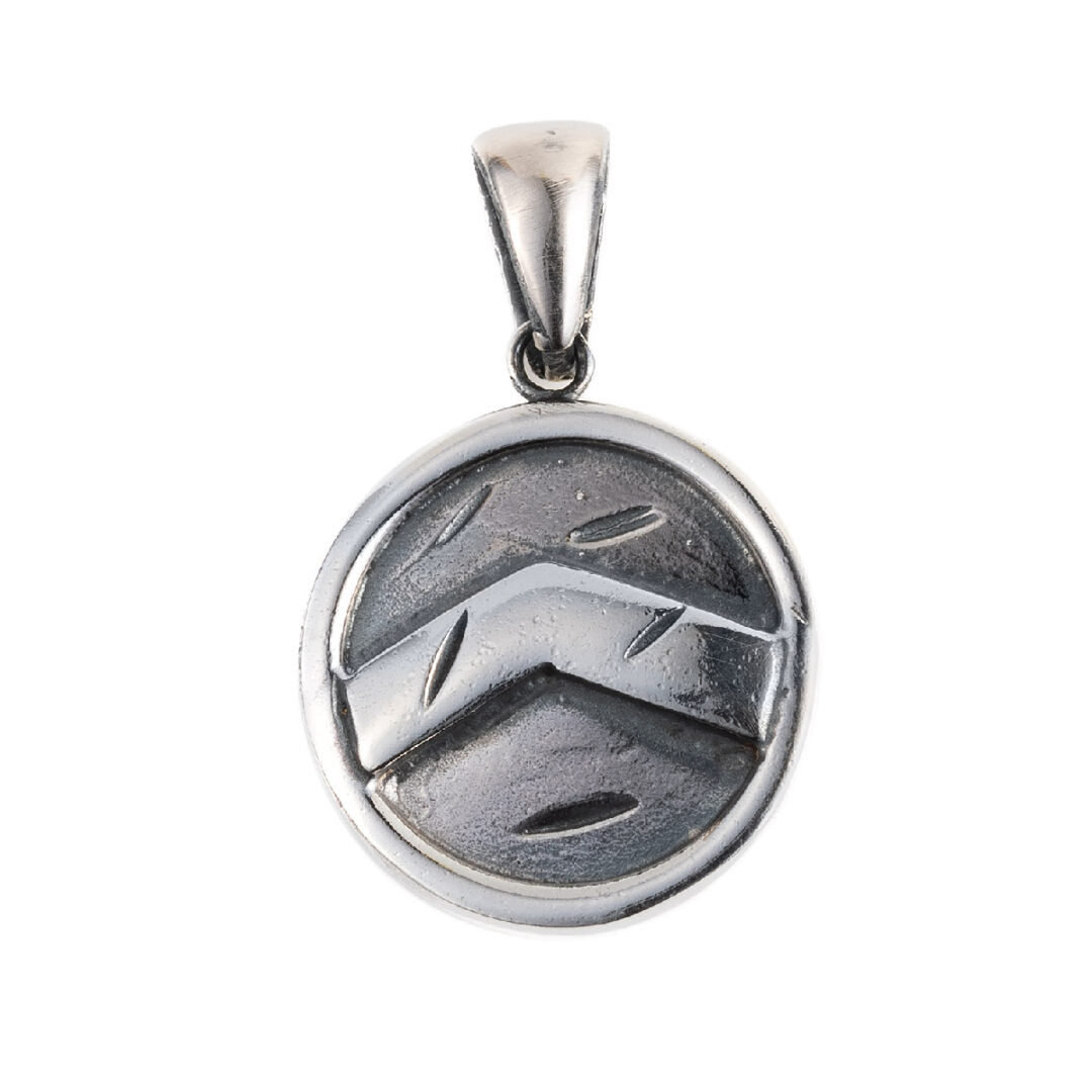 spartan shield