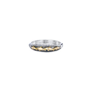 Gerochristo - Dolphins ring in 18K Gold and Sterling Silver