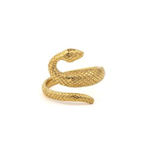 Snake Silver Ring