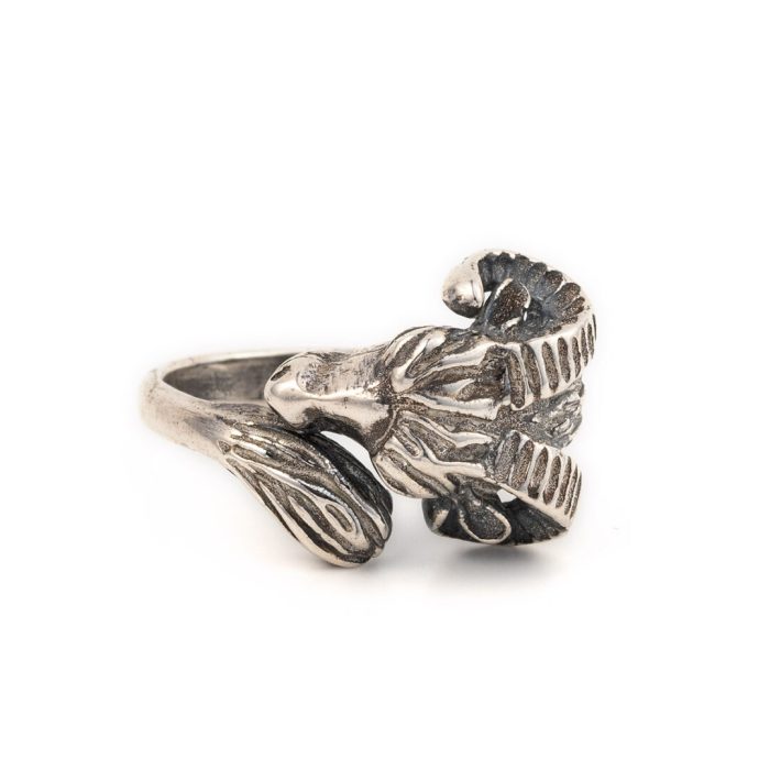 Rams Head - Sterling Silver Ring - Image 1