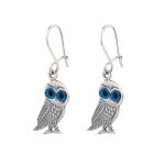 Wisdom Owl Earrings in 925 Sterling Silver