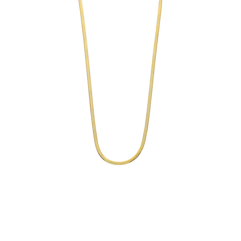 Snake Chain in Stainless Steel and Gold Plated