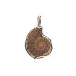 Fossil Shell Pendant – 925 Sterling Silver