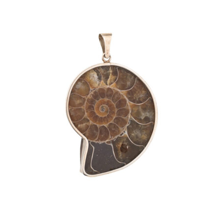 Fossil Stone Shell Pendant – 925 Sterling Silver