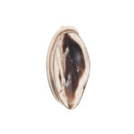 925 Sterling Silver Shell Pendant